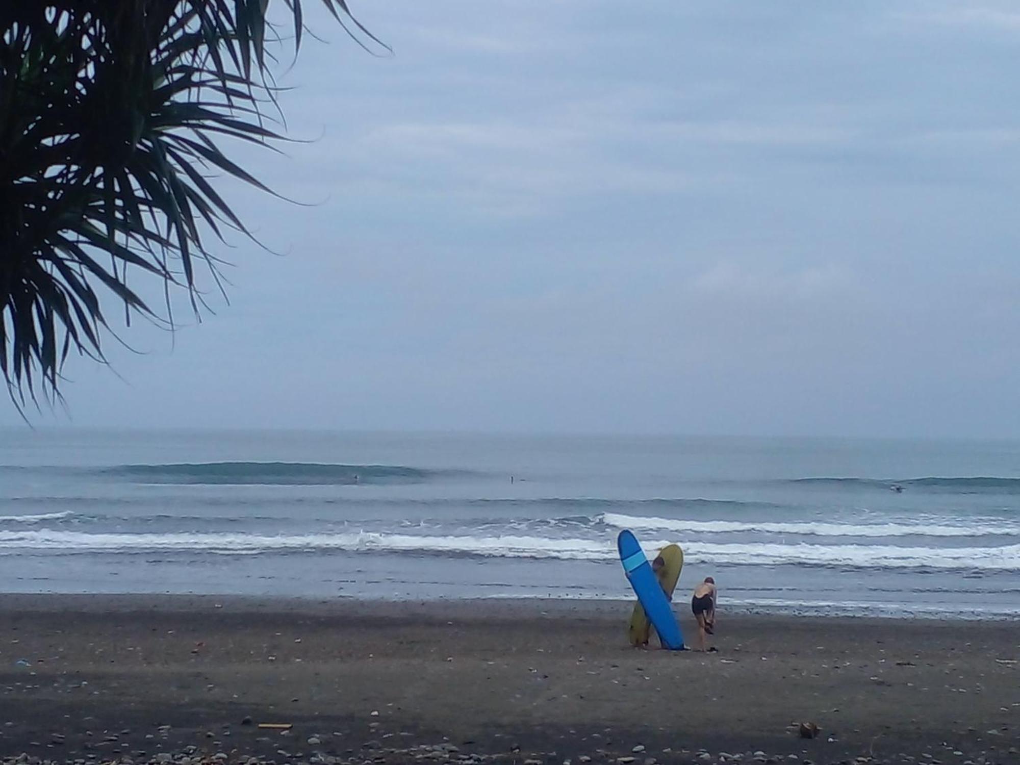 Medewi Good Vibes Stay&Surf Jembrana 외부 사진