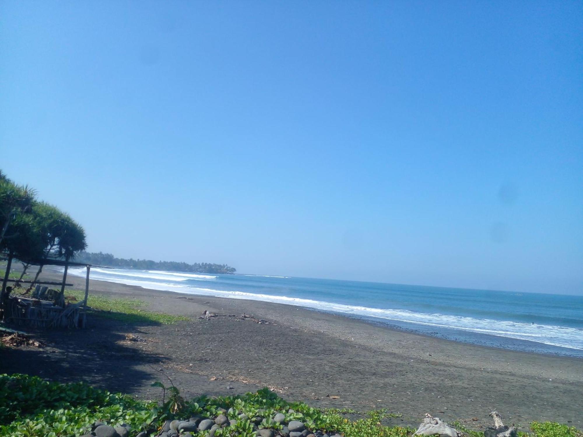 Medewi Good Vibes Stay&Surf Jembrana 외부 사진